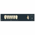 Ivocryl Set A-D - набор фронтальных нижних зубов, LUK52 A3, 6 шт 630826 - фото 482163