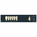 Ivocryl Set A-D - набор фронтальных нижних зубов, LUK53 A3, 6 шт 630846 - фото 482239