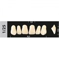 Зубы Major C3 1/25, 28 шт (Super Lux) st430039 - фото 482385