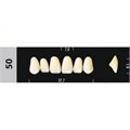 Зубы Major D4 50, 28 шт (Super Lux) st107892 - фото 482433