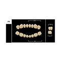 Зубы Yeti C4 PS жевательный низ (Tribos) 8 шт. 20313 - фото 482556