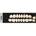 Зубы Major B3 1/65 жевательный верх, 8 шт (Super Lux). st588093 - фото 483413