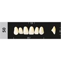 Зубы Major C3 50, 28 шт (Super Lux) st935855 - фото 483438