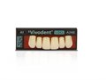 Зубы SR Vivodent S DCL Набор из 6 зубов Chromascop фронт.низ L A7 A1 685555 - фото 484145
