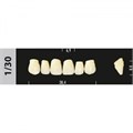 Зубы Major D3 1/30, 28 шт (Super Lux) st764965 - фото 484422