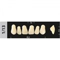 Зубы Major C2 1/13, 28 шт (Super Lux) st988926 - фото 484804