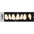 Зубы Major B3 1/49, 28 шт (Super Lux). st323489 - фото 484820