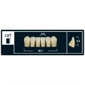 Зубы Yeti B4 L7 фронтальный низ (Tribos) 6 шт. 25209 - фото 484869