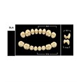 Зубы Yeti B4 SLA жевательный верх (Tribos) 8 шт. 22009 - фото 484895