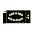 Зубы Yeti D4 SMA жевательный верх (Tribos) 8 шт. 22216 - фото 484898