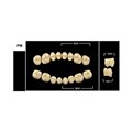 Зубы Yeti B4 PM жевательный верх (Tribos) 8 шт. 20009 - фото 484899