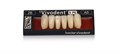 Зубы SR Vivodent PE Набор из 6 зубов Chromascop фронт.низ. A8 2A. 505201 - фото 485608
