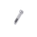 Винт FRIADENT Retaining Screw TempBase, D = 3,4 - 5,5, арт: 46-1280 46-1280 - фото 489971