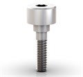 Винт лабораторный Neo Working Screw One Step Hybrid Mini Conical Abutment, размер: 4.1 мм 116.271 - фото 491343