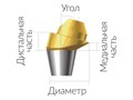 ASA45151018N  Винтовой угловой абатмент, без шестигранника, диаметр 4.5 мм, Dentium (Ю.Корея) ASA45151018N - фото 499941