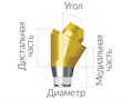 ASA55153018N  Винтовой угловой абатмент без шестигранника, диаметр 5.5 мм, Dentium (Ю.Корея) ASA55153018N - фото 499955