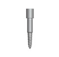 DGAS06 Фиксирующий винт 15 мм DGAS06, Dentium (Ю.Корея) DGAS06 - фото 500336