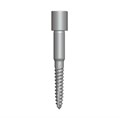 DGAS10 Фиксирующий винт, 19 мм, Dentium (Ю.Корея) DGAS10 - фото 500337