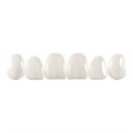 Componeer Set upper - гарнитур виниров для верхней челюсти (11, 12, 13, 21, 22, 23), размер M, цвет W/O (Enamel White-Opalescent), 6 шт 1312 - фото 501684