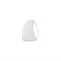 Componeer Set upper - виниры для верхней челюсти (22), размер M, цвет BL/O (Dentin Bleach Opaque), 2 шт 60014507 - фото 501705