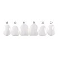 Componeer Set upper - гарнитур виниров для верхней челюсти (11, 12, 13, 21, 22, 23), размер S, цвет Enamel Universal, 6 шт 1316 - фото 501861