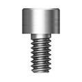 Винт титановый для цилиндра Multi MTS200 - фото 504079