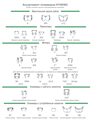 HYGENIC DENTAL DAM CLAMPS SET - набор кламмеров без крыльев, 9 шт H-02801 - фото 505739