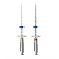 iRaCe Plus - набор эндодонтических файлов (R1a - 2% №20 - 2 шт, R2b - 2% №25 - 2 шт), 31 мм, 4 шт 700IRPL31 - фото 506281