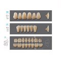 Kaili - зубы акриловые, верхние S8/нижние L8, цвет B1, размер 34, коробка 4х28 шт B1S8/L8/34_Kaili - фото 514594