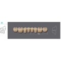 Kaili - зубы акриловые 8*1/ A2, 32L (1 планка) A232L_Kaili - фото 514596