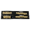 Kaifeng - зубы акриловые 28*1/ A3.5, T9 (1 гарнитур) A3.5T9/L11/32_Kaifeng - фото 514611