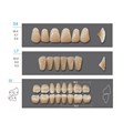 Kaifeng - зубы акриловые, верхние S4, цвет C2, коробка 4х28 шт C2S4/L7/32_Kaifeng - фото 514624