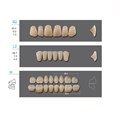 Kaili - зубы акриловые, верхние S2/нижние L2, цвет C4, размер 30, коробка 4х28 шт C4S2/L2/30_Kaili - фото 514638
