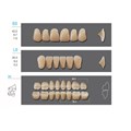 Kaifeng - зубы акриловые, верхние S3, цвет C4, коробка 4х28 шт C4S3/L5/30_Kaifeng - фото 514643