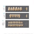 Kaili - зубы акриловые, верхние T6/нижние L6, цвет A4, размер 32, коробка 4х28 шт A4T6/L6/32_Kaili - фото 514650