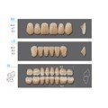 Kaifeng - зубы акриловые, верхние S5, цвет C4, коробка 4х28 шт C4S5/L5/32_Kaifeng - фото 514662