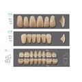 Kaifeng - зубы акриловые, верхние T12, цвет B3, коробка 4х28 шт B3T12/L14/34_Kaifeng - фото 514678