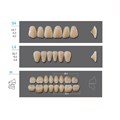 Kaili - зубы акриловые, верхние S4/нижние L4, цвет D4, размер 30, коробка 4х28 шт D4S4/L4/30_Kaili - фото 514713