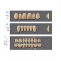Kaili - зубы акриловые, верхние S6/нижние L6, цвет D3, размер 32, коробка 4х28 шт D3S6/L6/32_Kaili - фото 514723