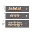 Kaili - зубы акриловые, верхние T2/нижние L2, цвет D4, размер 30, коробка 4х28 шт D4T2/L2/30_Kaili - фото 514724