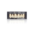 SR Vivodent DCL Set A-D - набор фронтальных зубов A-D, 6 шт 564852 - фото 514729