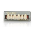 SR Vivodent Set - набор фронтальных зубов, 6 шт 540260 - фото 514751