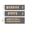 Kaili - зубы акриловые, верхние T8/нижние L8, цвет B3, размер 34, коробка 4х28 шт B3T8/L8/34_Kaili - фото 514760