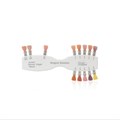 Shade Guide Gingiva Solution - расцветка 674209 - фото 514968