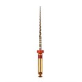 GOLD-TAPER - машинные файлы F2, 31 мм, конус 06%, ISO 25, 6 шт ГЕ03.031.286 - фото 533265