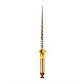 GOLD-TAPER - машинные файлы F1, 31 мм, конус 05%, ISO 18, 6 шт ГЕ03.031.235 - фото 533268