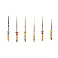 GOLD-TAPER - машинные файлы, ассорти, 31 мм, 6 шт ГЕ03.031.006 - фото 533272