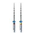 BT-RaCe RA - файл, конус 4%, 25 мм, №50, стерильные, 6 шт 7B0BTR25506 - фото 533518