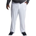 Брюки мужские Dickies DK015, белый, XS DK015-WTPS-XS - фото 542602