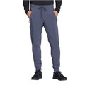Брюки мужские Cherokee CK004A, серый, XL CK004A-GRY-XL - фото 542691